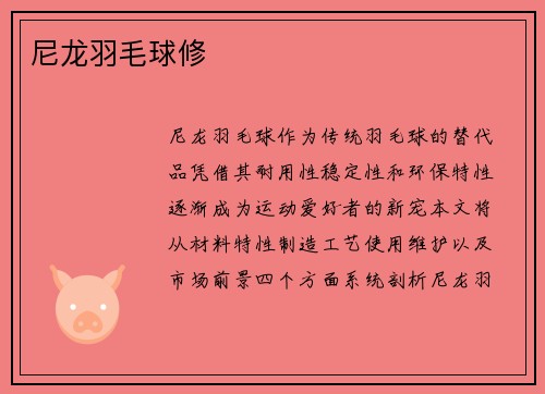 尼龙羽毛球修
